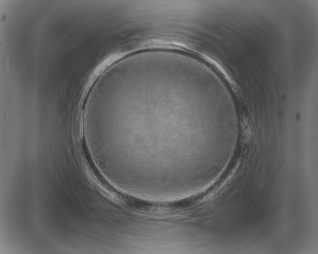 X0000087641371200705031500