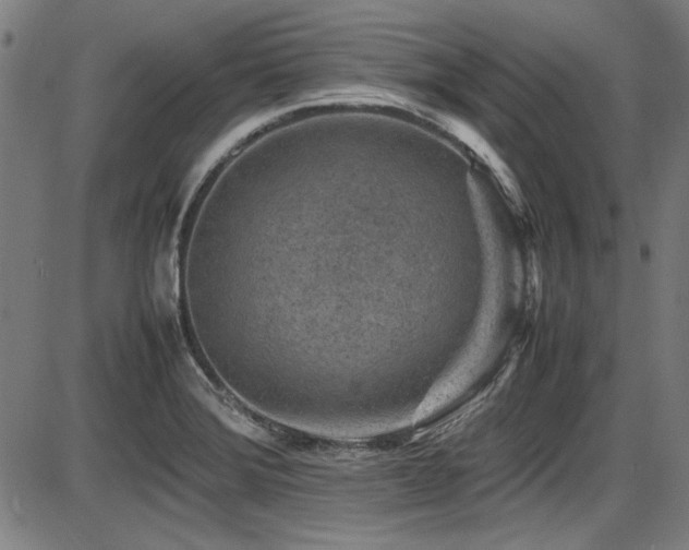 X0000087641372200705031500