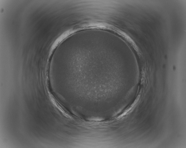 X0000087641373200705031500