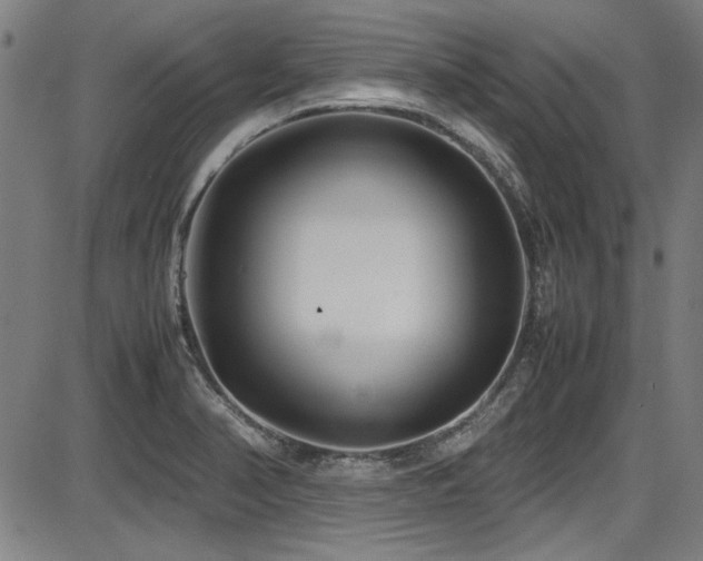 X0000087641374200705031500