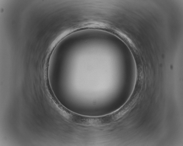 X0000087641375200705031500