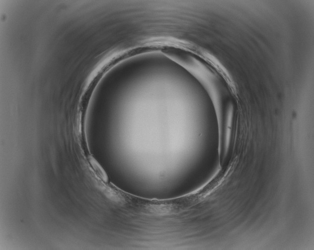 X0000087641376200705031500