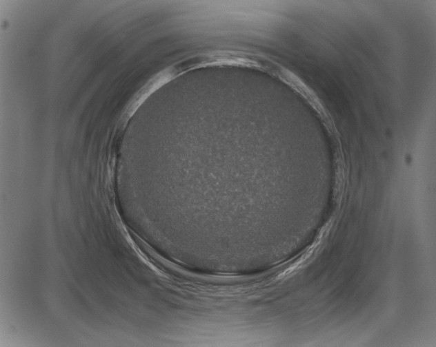 X0000087641377200705031500