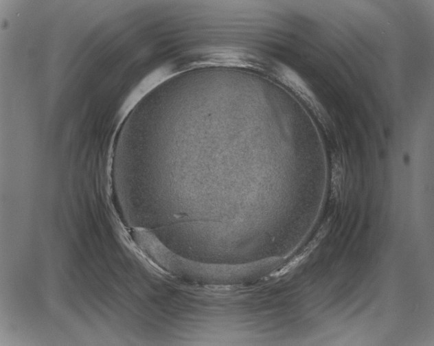 X0000087641378200705031459