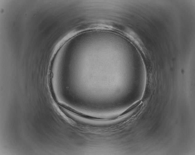 X0000087641379200705031459