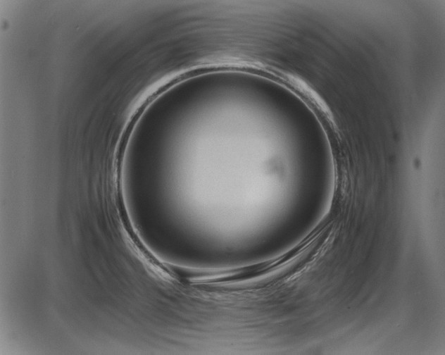 X0000087641380200705031459