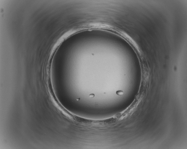 X0000087641381200705031459