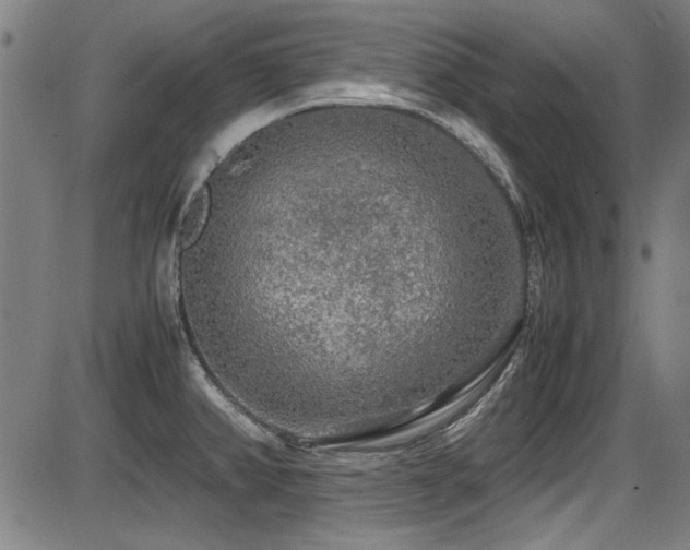 X0000087641382200705031459