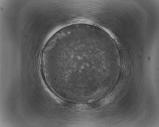 X0000087641383200705031459