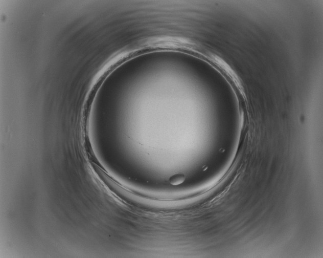 X0000087641384200705031459