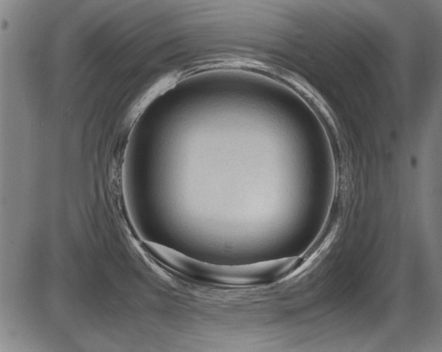 X0000087641385200705031459