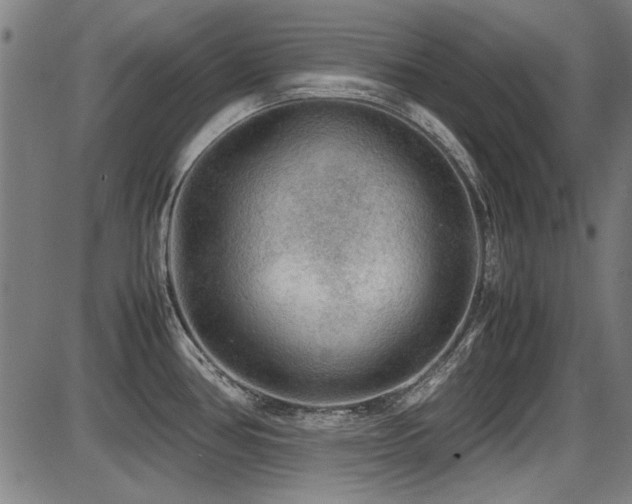 X0000087641386200705031459