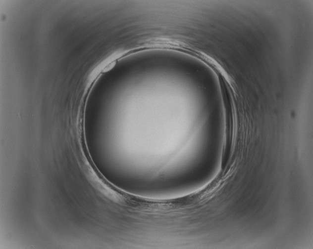 X0000087641387200705031459