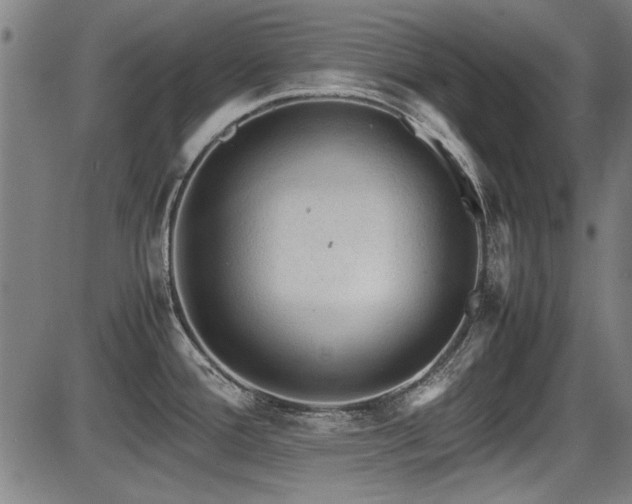 X0000087641388200705031459