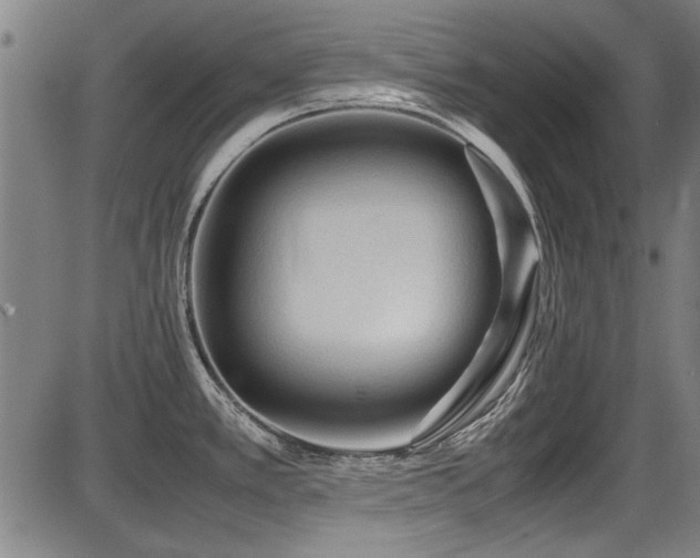 X0000087641389200705031459