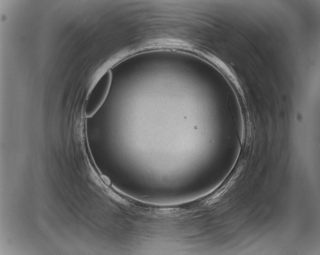 X0000087641390200705031459