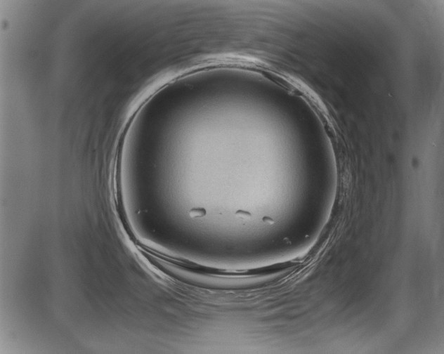 X0000087641391200705031459