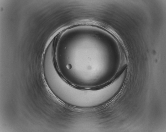 X0000087641392200705031459