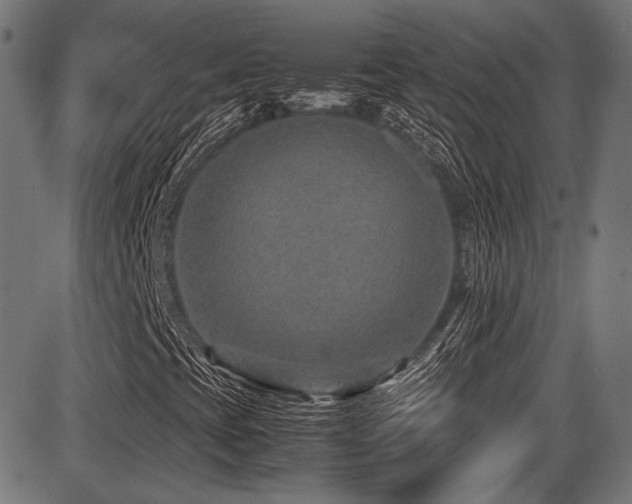 X0000087641393200705031458