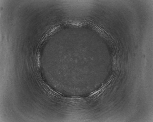 X0000087641394200705031458