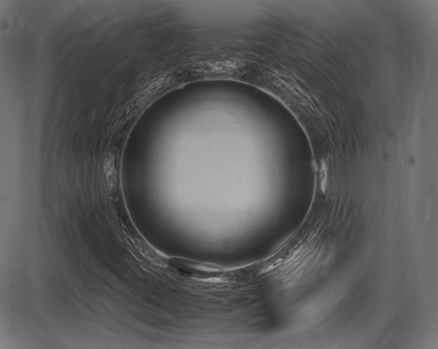 X0000087641395200705031459