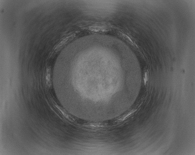 X0000087641396200705031459