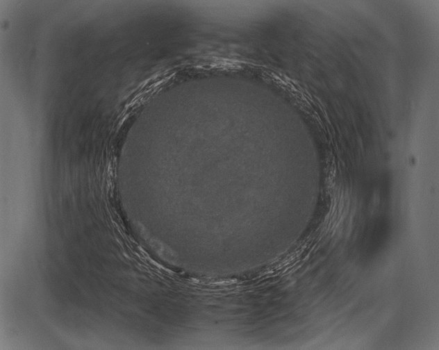 X0000087641397200705031459