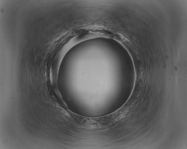 X0000087641398200705031459