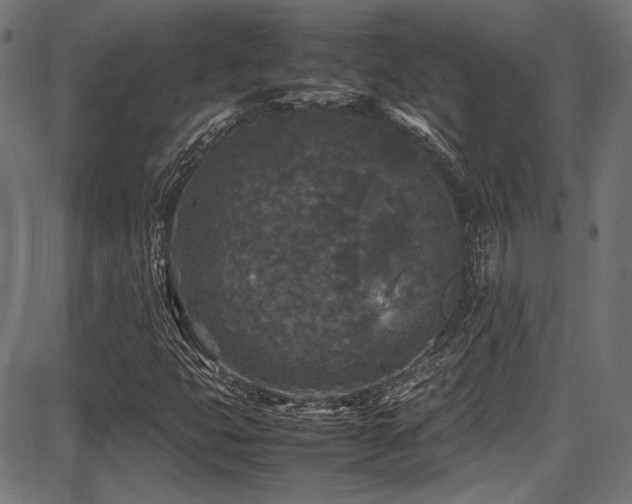 X0000087641399200705031459