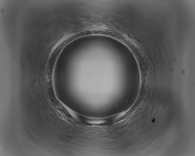 X0000087641400200705031459