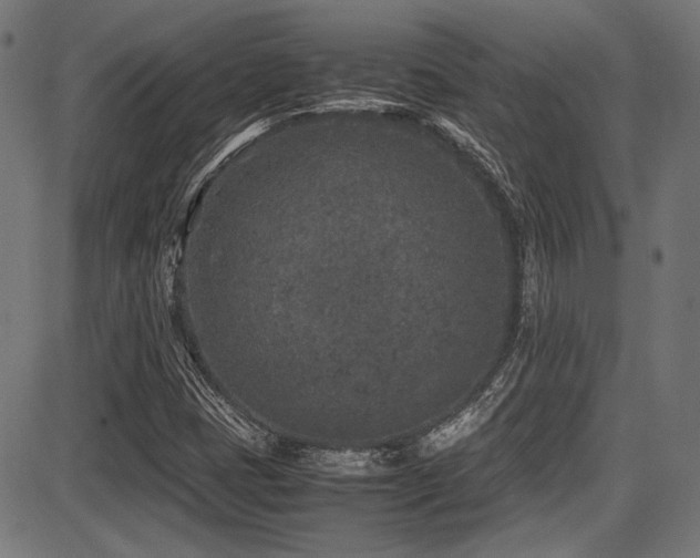 X0000087641401200705031459