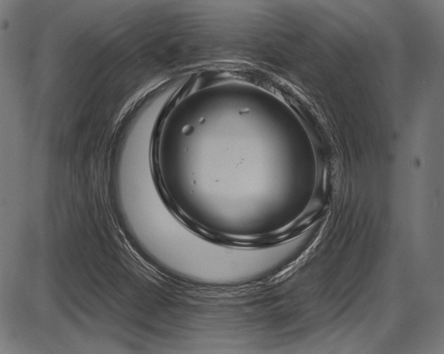 X0000087641402200705031459