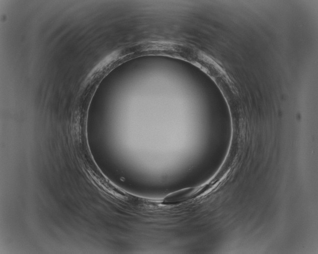 X0000087641403200705031459