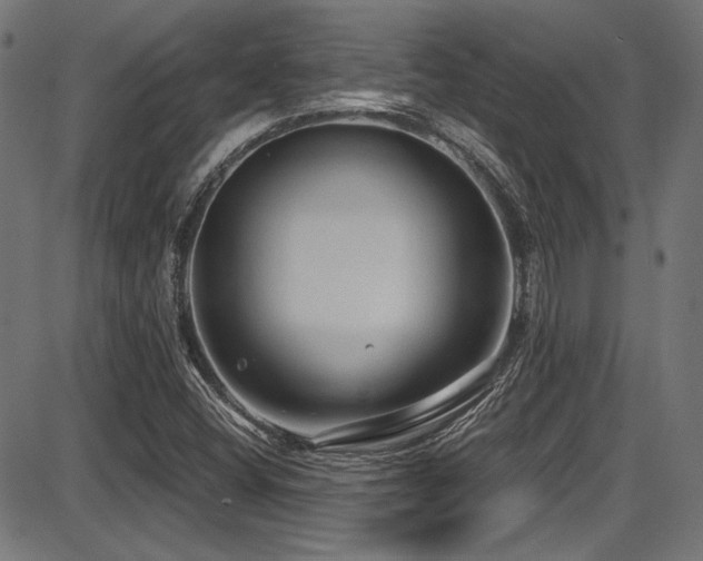 X0000087641404200705031459