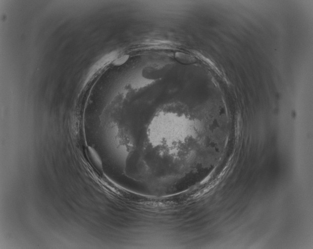 X0000087641405200705031459