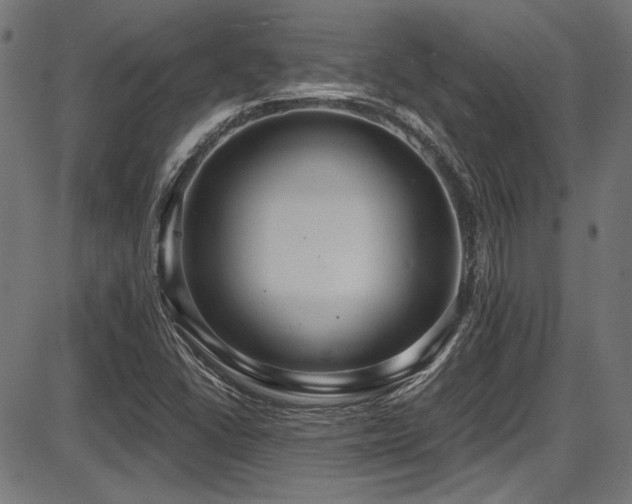 X0000087641406200705031459