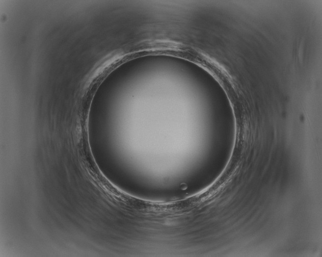 X0000087641407200705031459