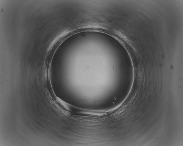 X0000087641408200705031459