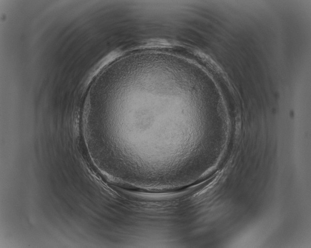 X0000087641409200705031459