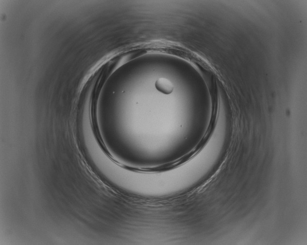 X0000087641410200705031459