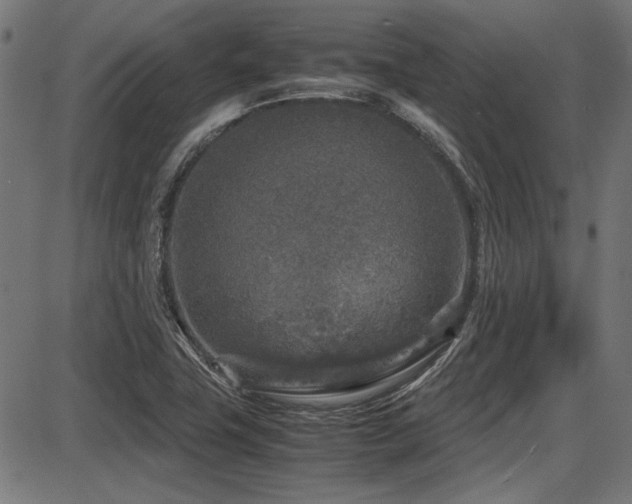 X0000087641411200705031459