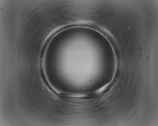 X0000087641412200705031459