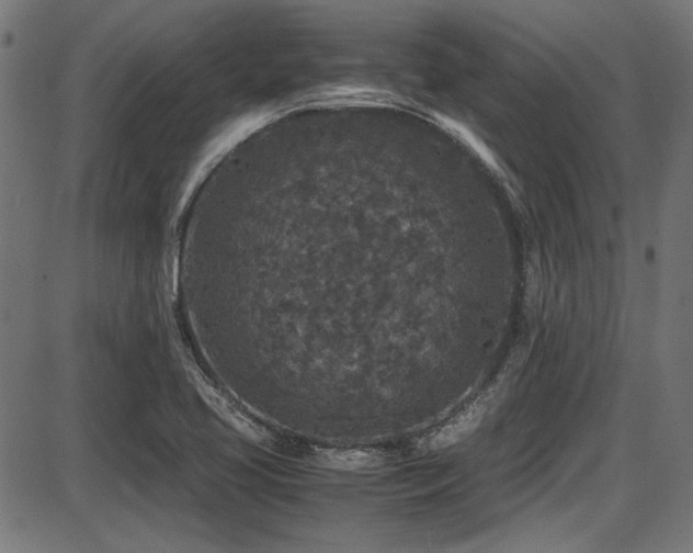 X0000087641413200705031459