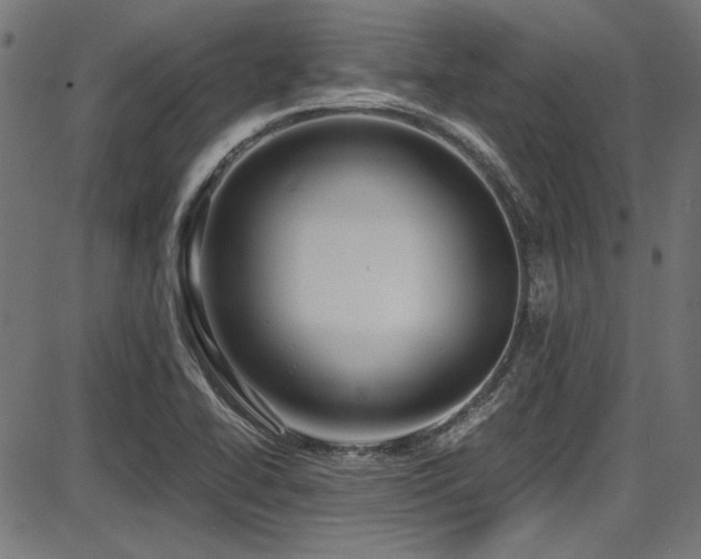 X0000087641414200705031459