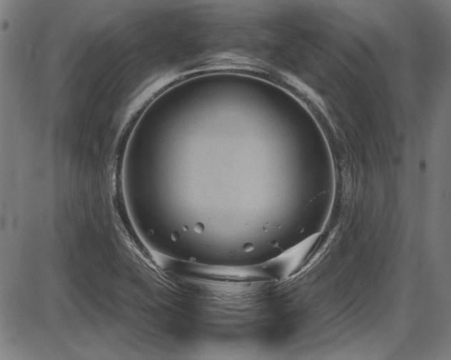 X0000087641415200705031459