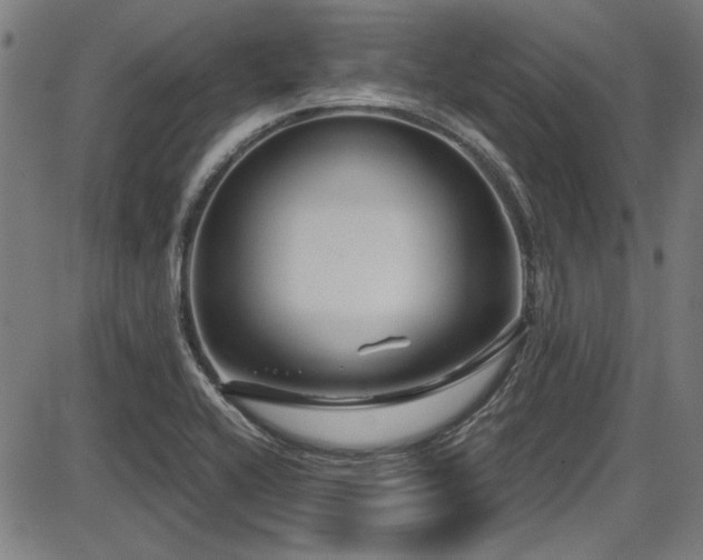 X0000087641416200705031459