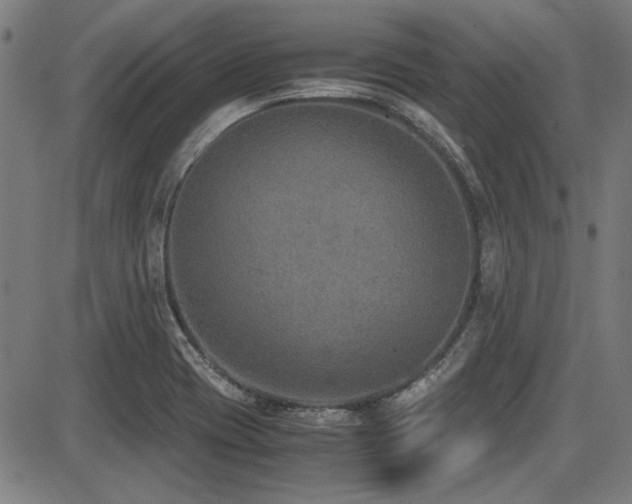 X0000087641417200705031459