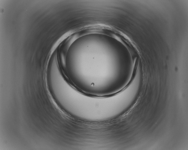 X0000087641418200705031459