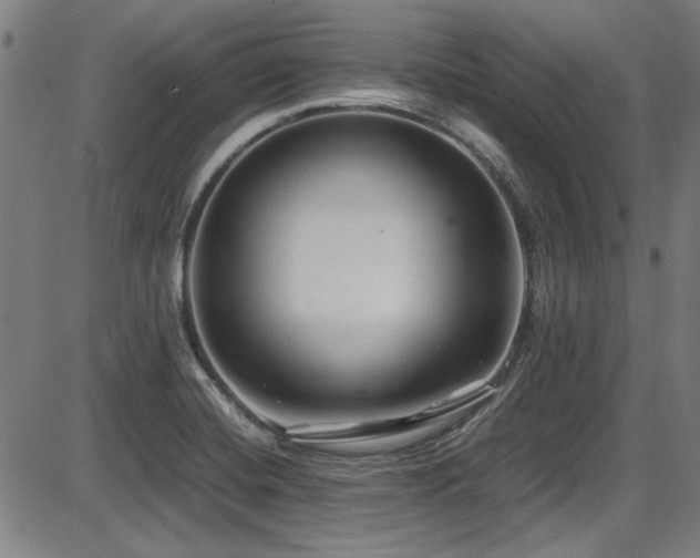 X0000087641420200705031459