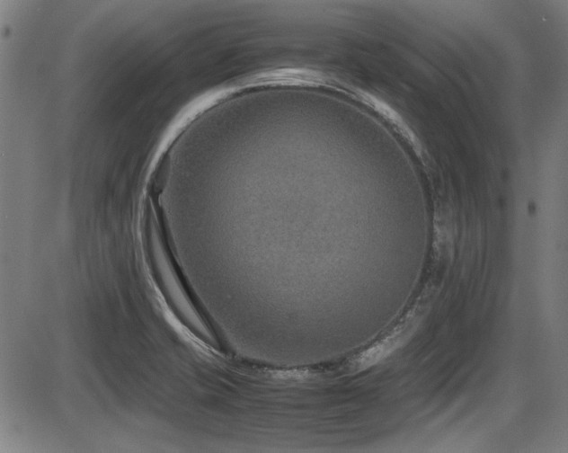 X0000087641421200705031459